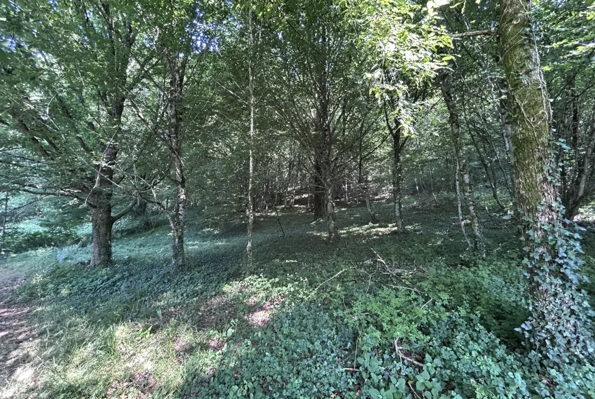 Charmante maison en pierre avec terrain arboré à Monceaux-sur-Dordogne 