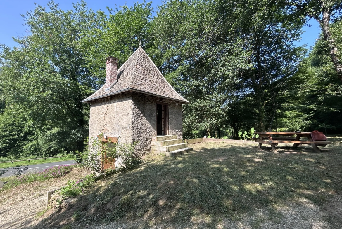 Charmante maison en pierre avec terrain arboré à Monceaux-sur-Dordogne 