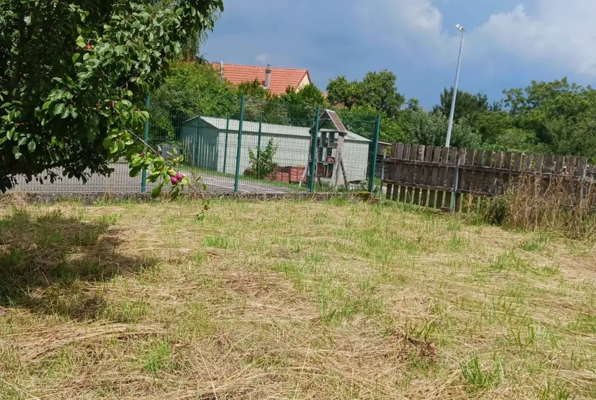 Maison de campagne à rénover avec jardin à Veckersviller - 90 m² 