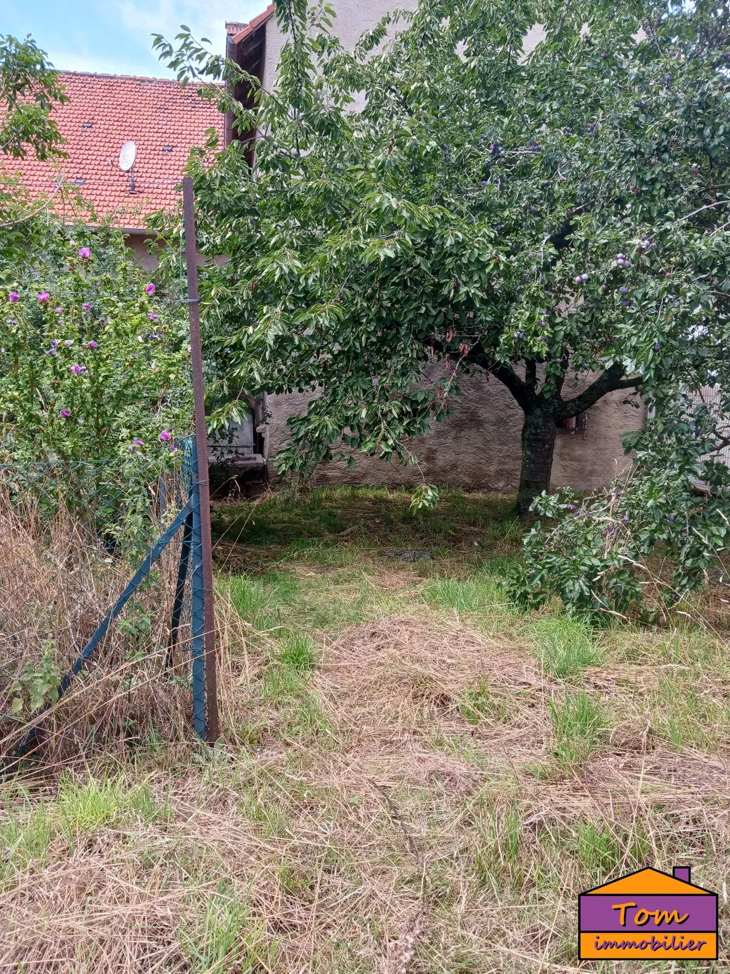 Maison de campagne à rénover avec jardin à Veckersviller - 90 m² 