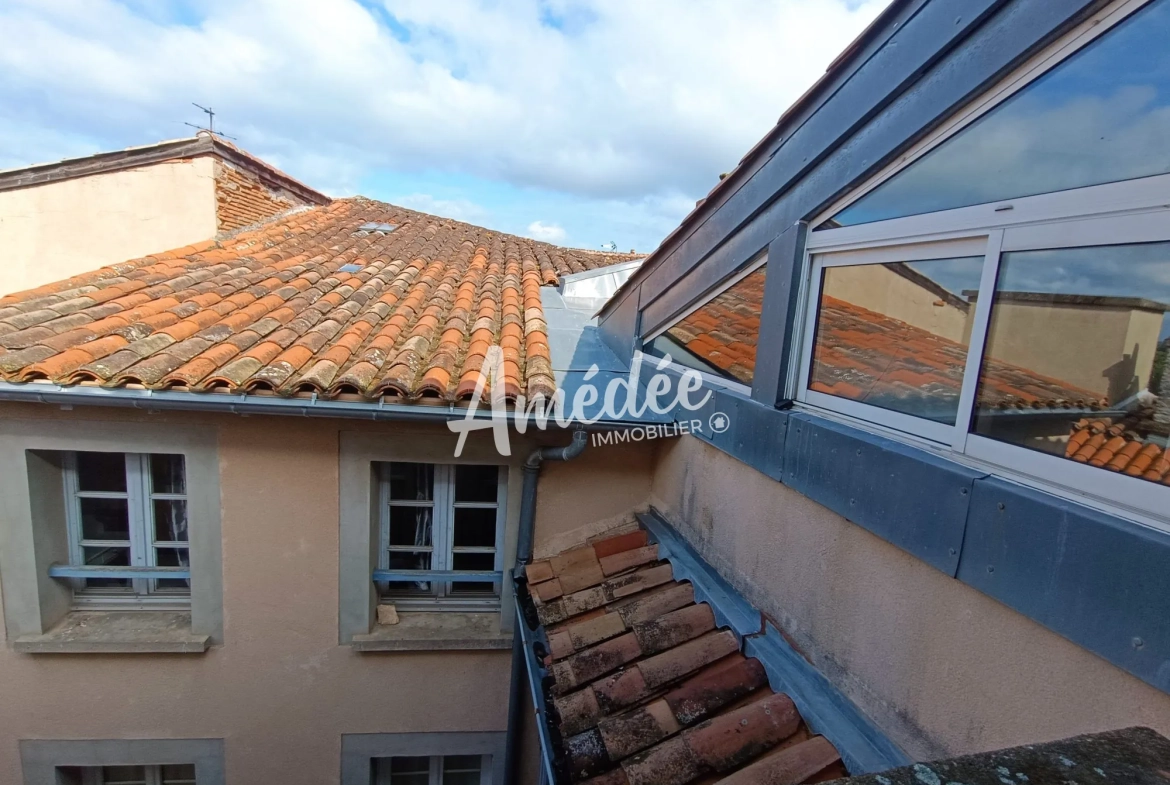 Appartement de prestige avec vue sur la cathédrale à Montauban 