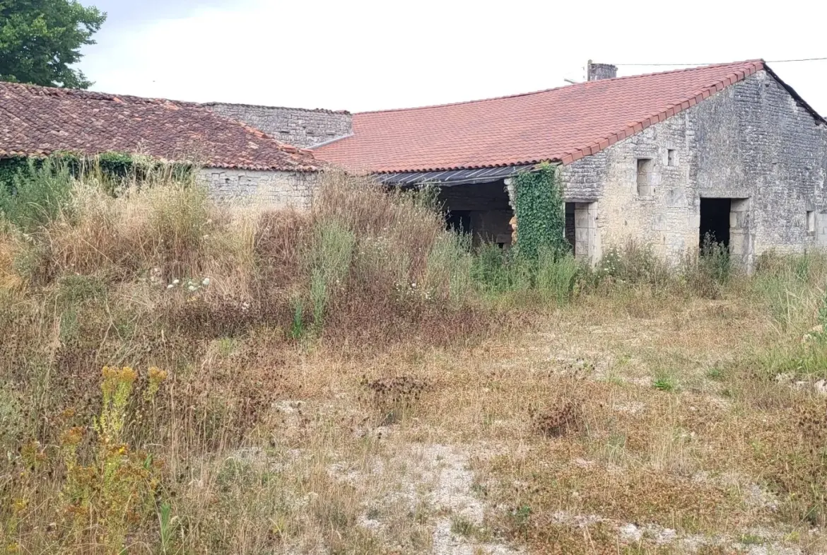 Maison à rénover avec dépendance à Néré - Opportunité rare 