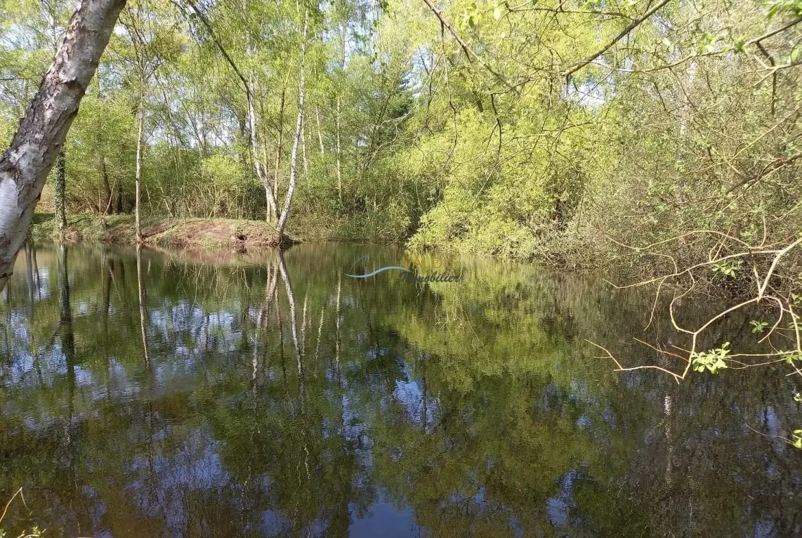 Terrain de 1,38 hectare avec deux étangs en Sissonne (02) 