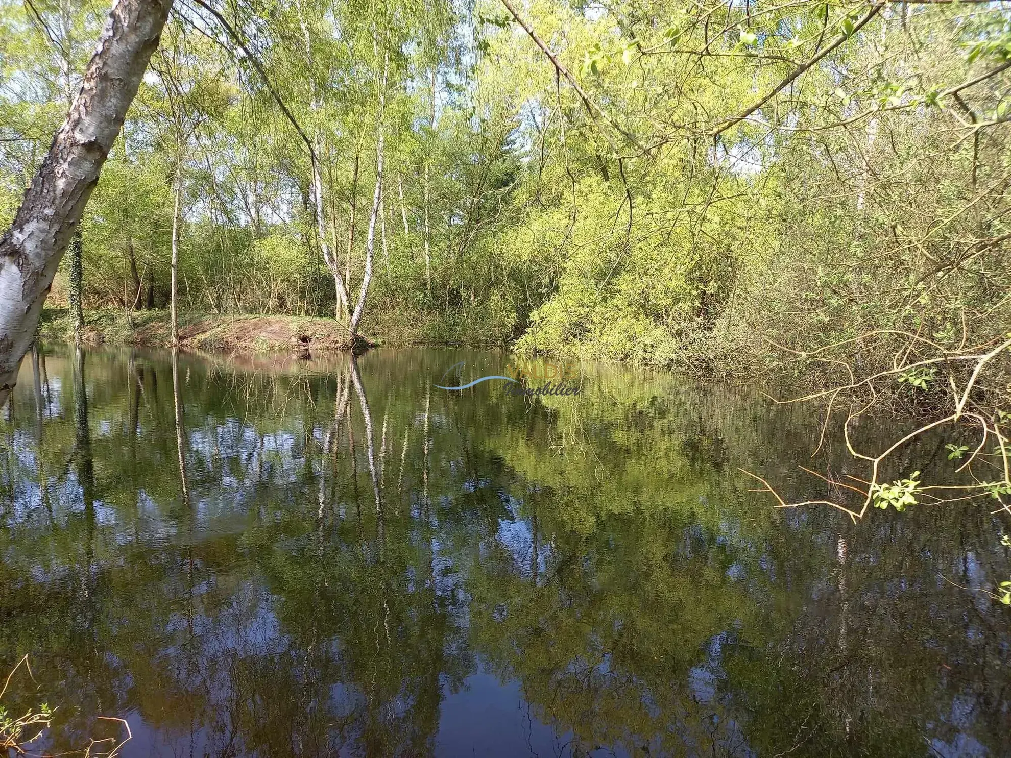 Terrain de 1,38 hectare avec deux étangs en Sissonne (02) 