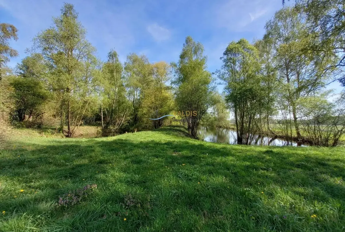 Terrain de 1,38 hectare avec deux étangs en Sissonne (02) 