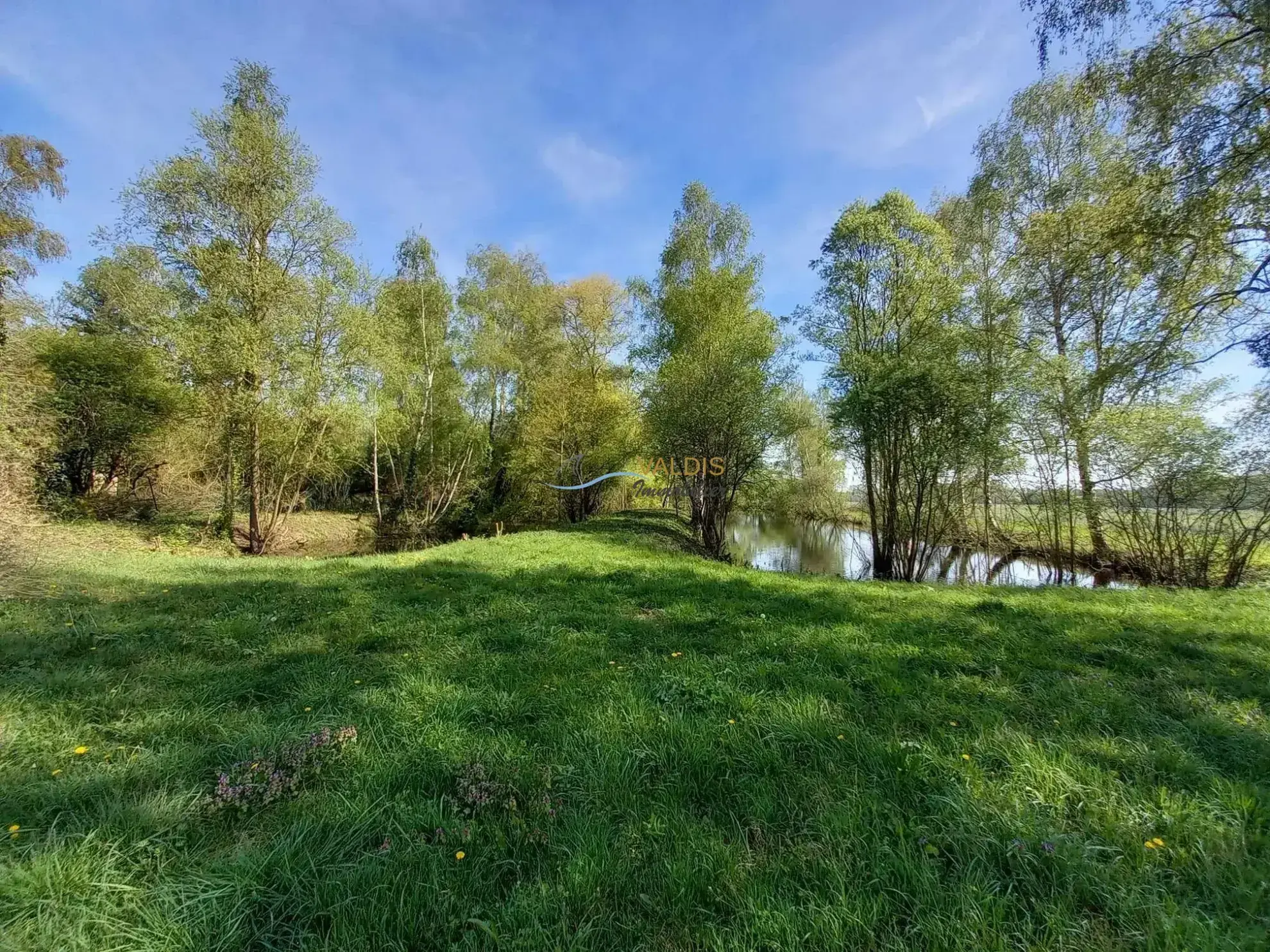 Terrain de 1,38 hectare avec deux étangs en Sissonne (02) 