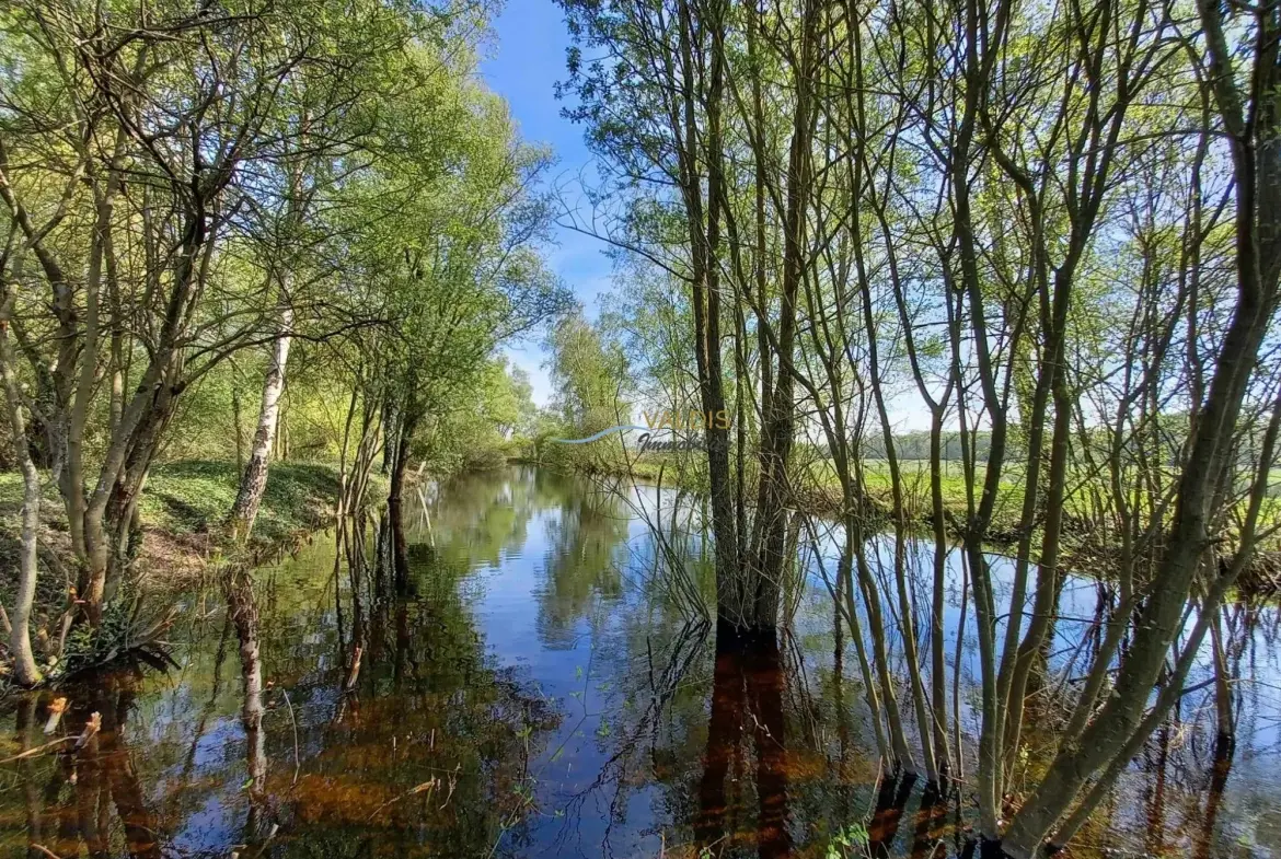 Terrain de 1,38 hectare avec deux étangs en Sissonne (02) 