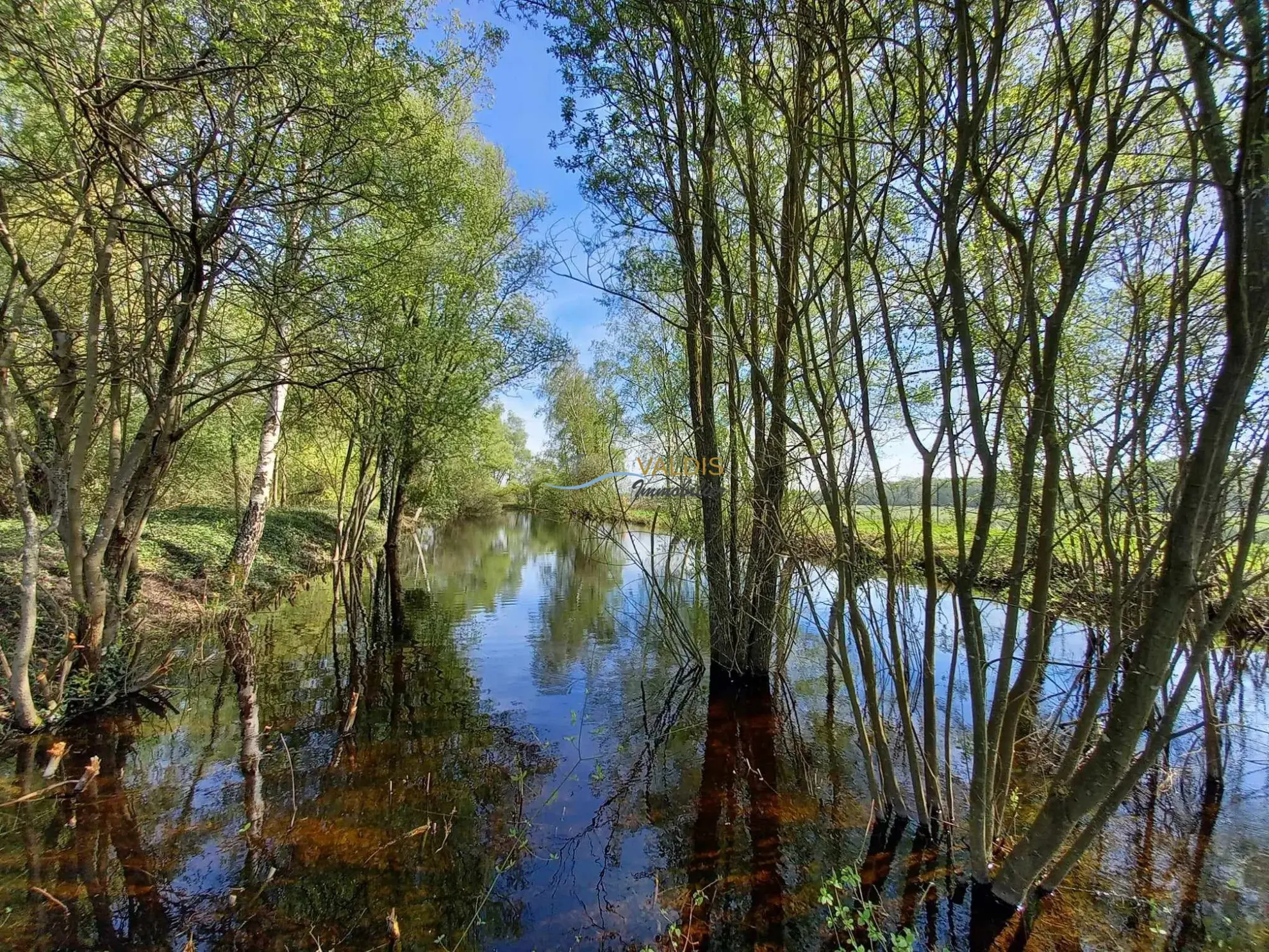 Terrain de 1,38 hectare avec deux étangs en Sissonne (02) 