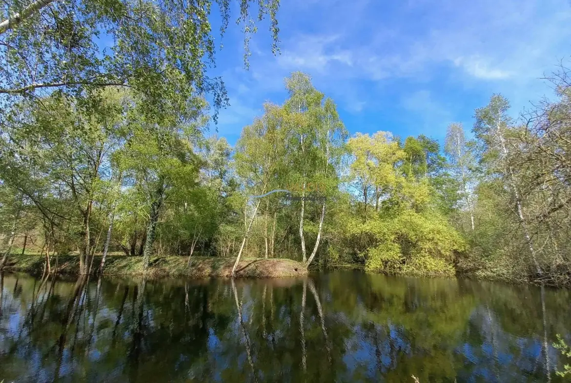 Terrain de 1,38 hectare avec deux étangs en Sissonne (02) 