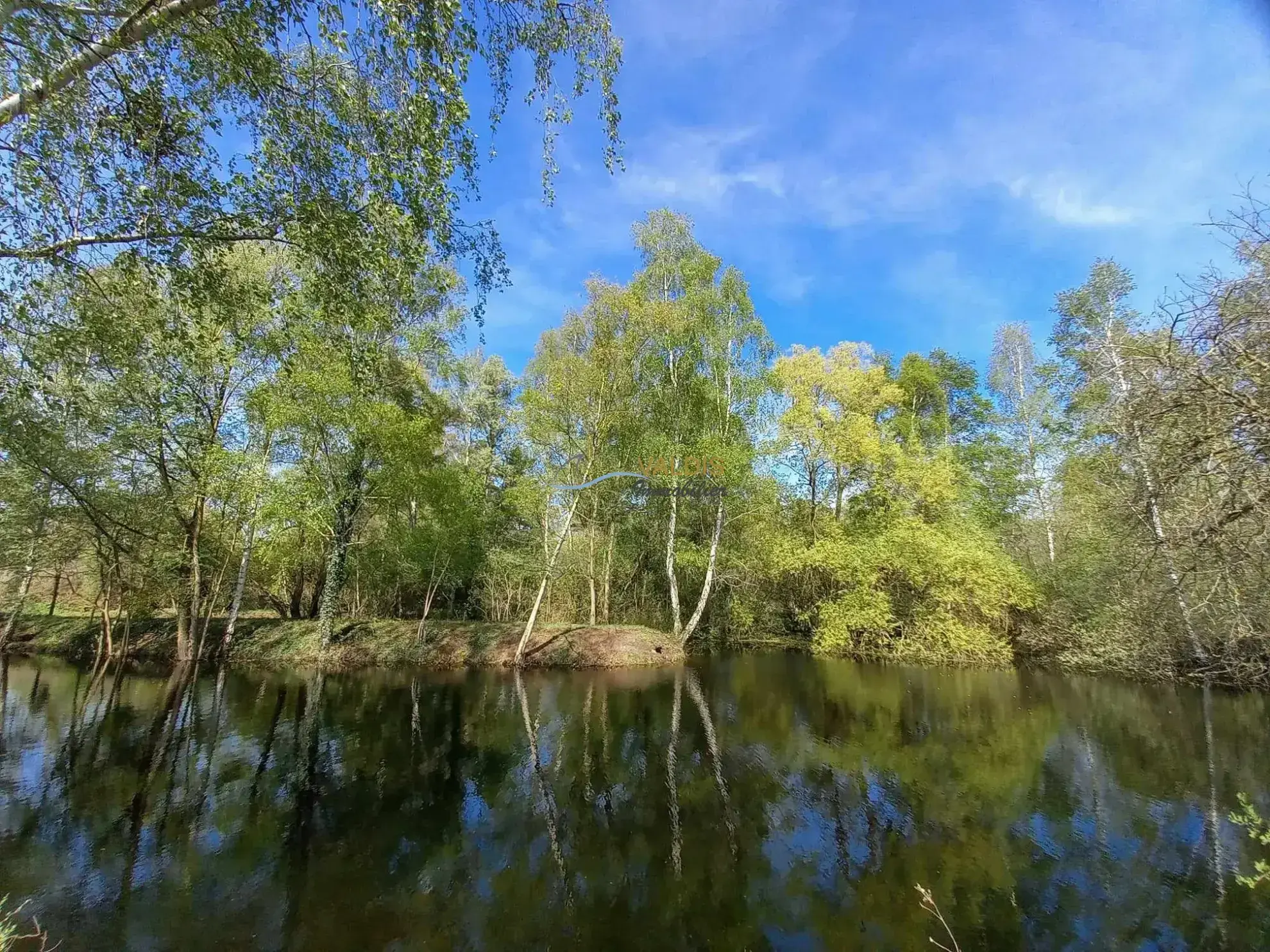 Terrain de 1,38 hectare avec deux étangs en Sissonne (02) 