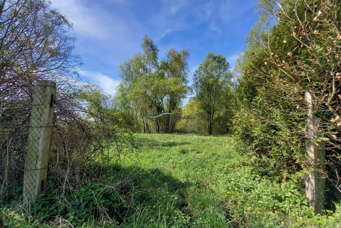 Terrain de 1,38 hectare avec deux étangs en Sissonne (02) 