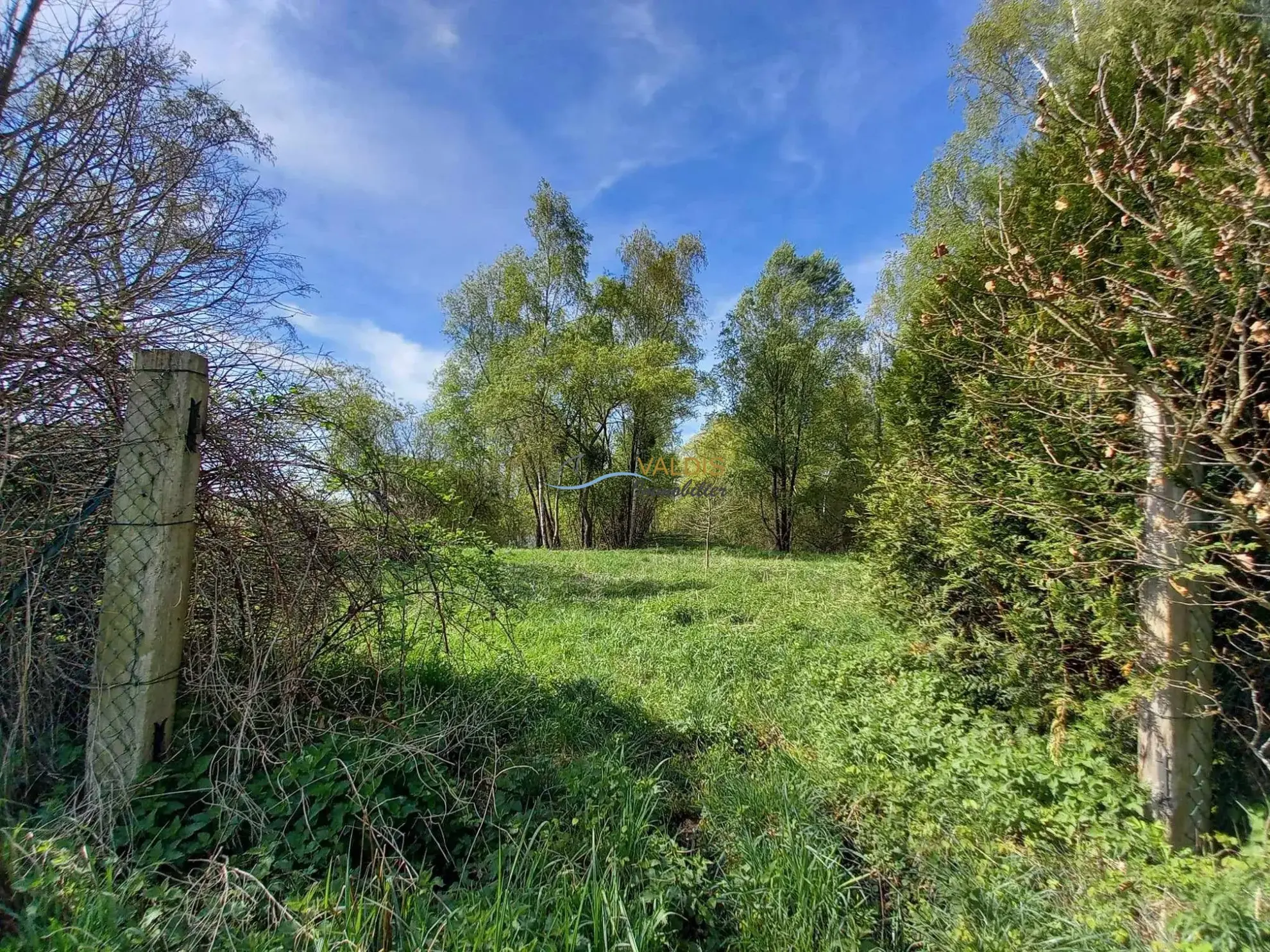 Terrain de 1,38 hectare avec deux étangs en Sissonne (02) 