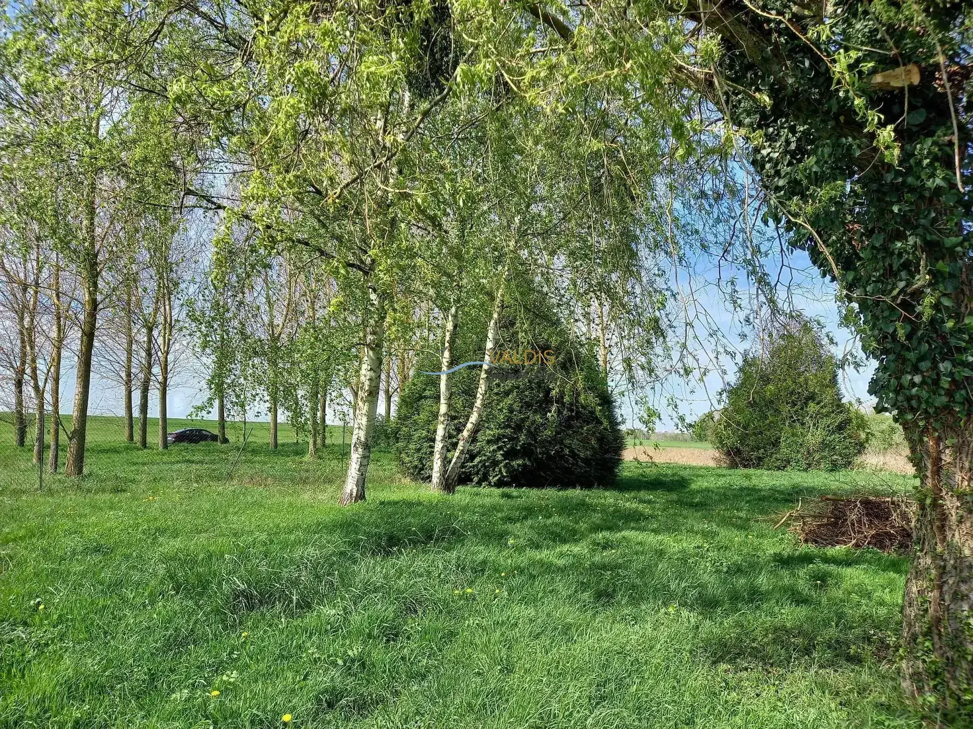 Terrain de 1,38 hectare avec deux étangs en Sissonne (02) 