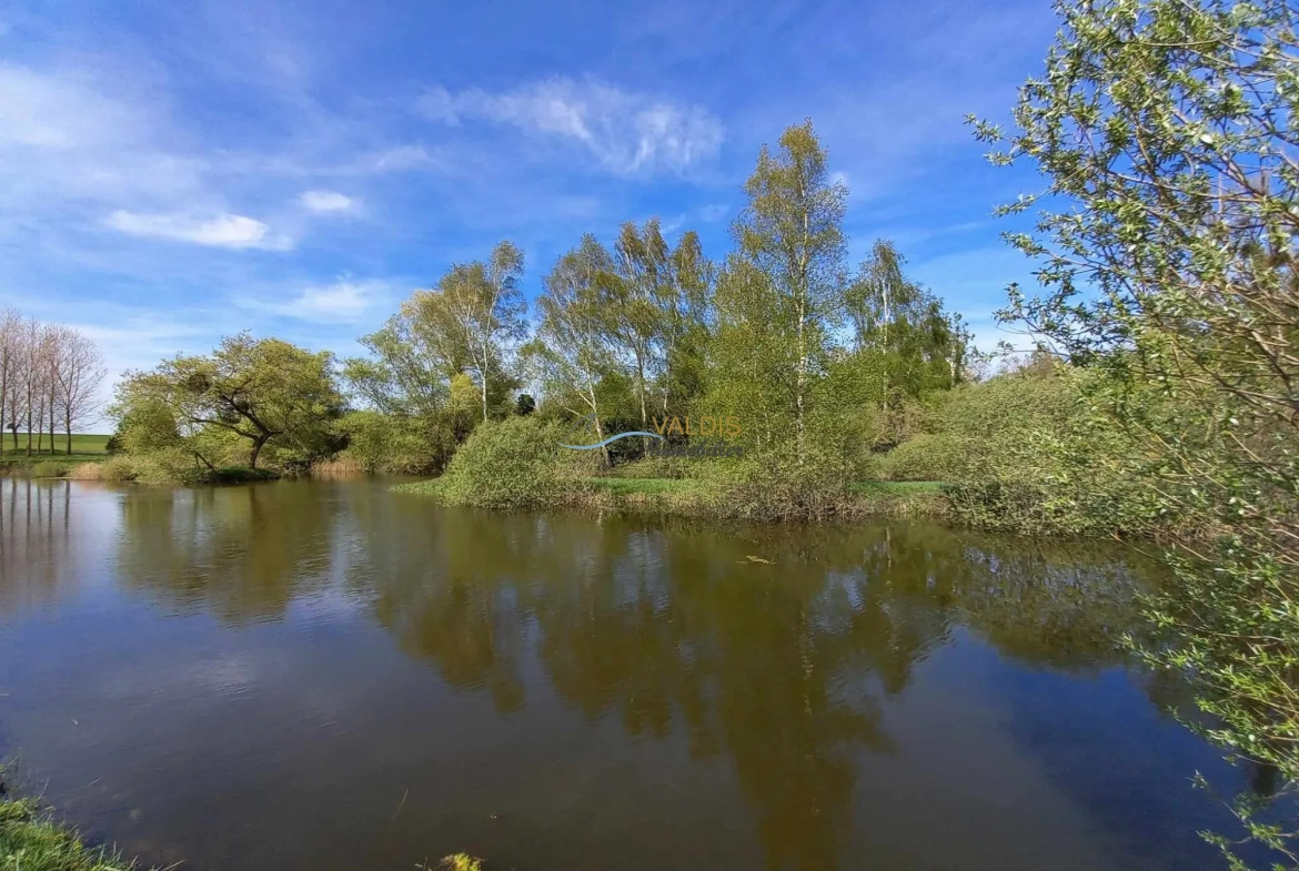 Terrain de 1,38 hectare avec deux étangs en Sissonne (02) 