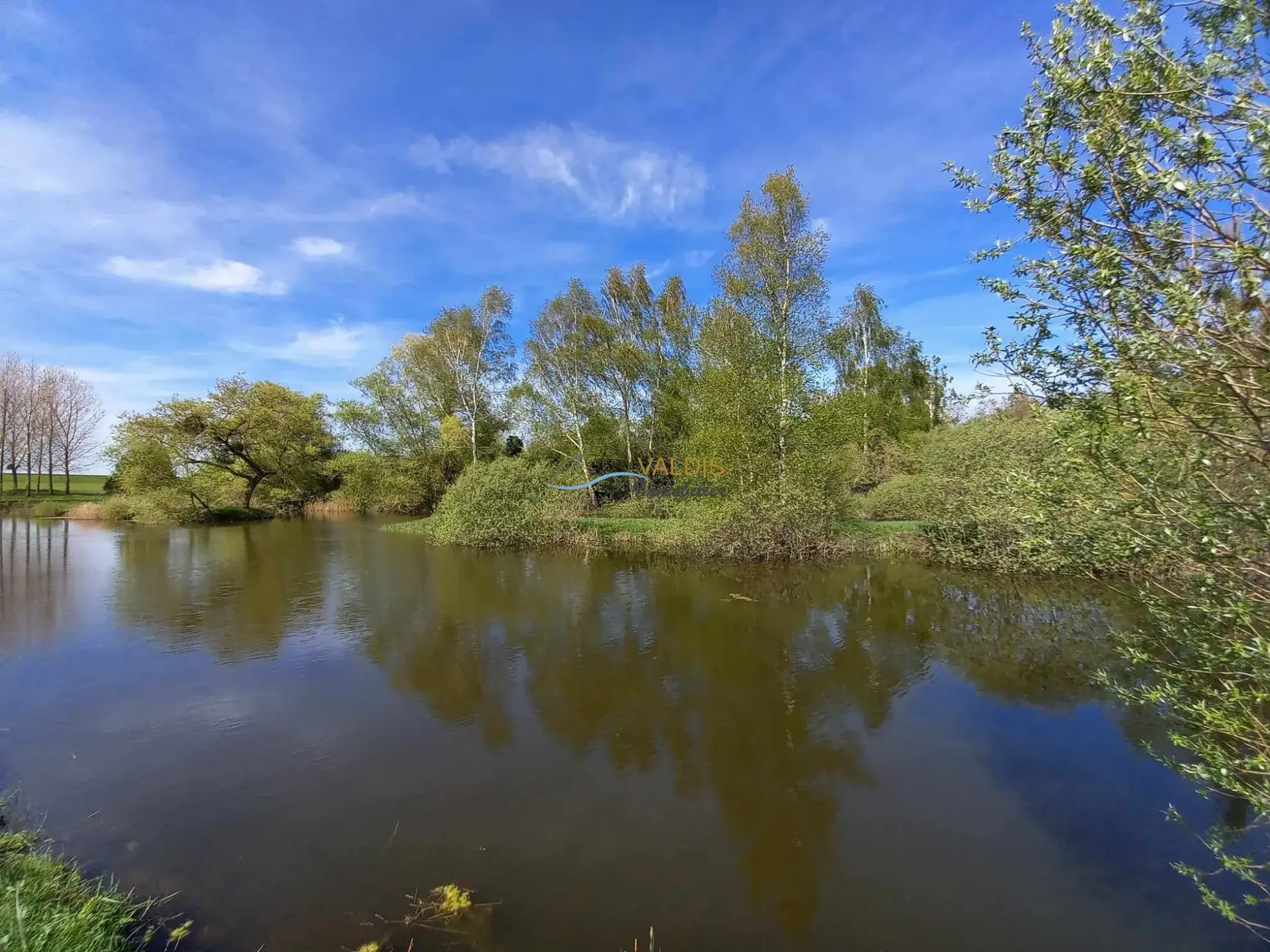 Terrain de 1,38 hectare avec deux étangs en Sissonne (02) 