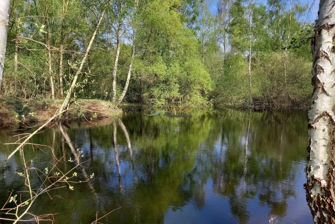 Terrain de 1,38 hectare avec deux étangs en Sissonne (02) 