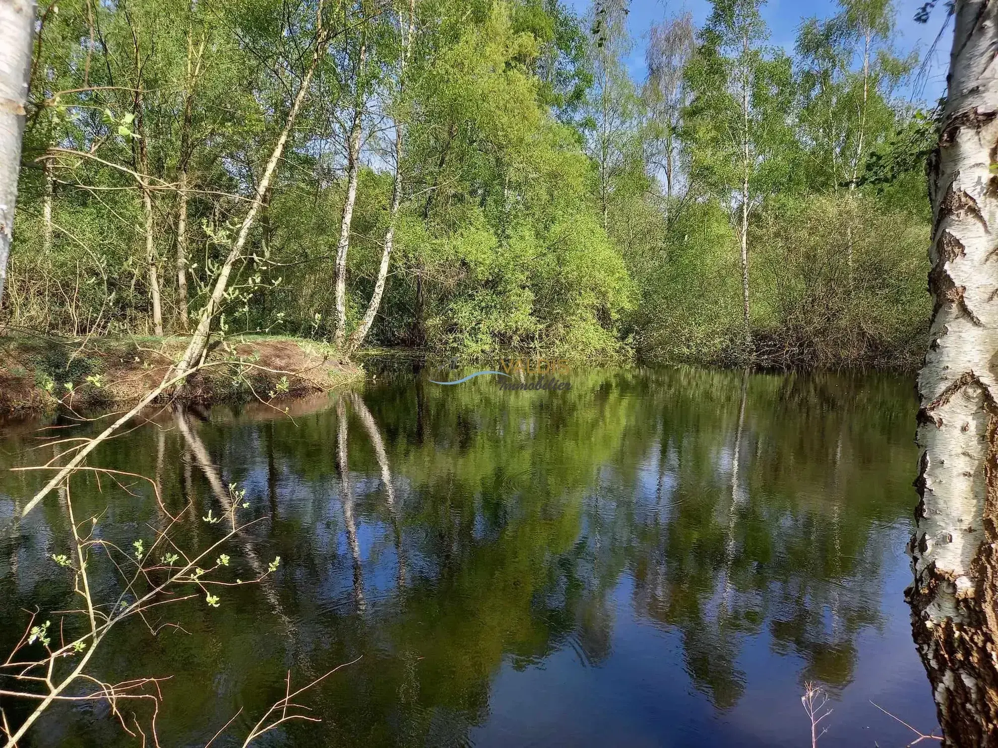 Terrain de 1,38 hectare avec deux étangs en Sissonne (02) 