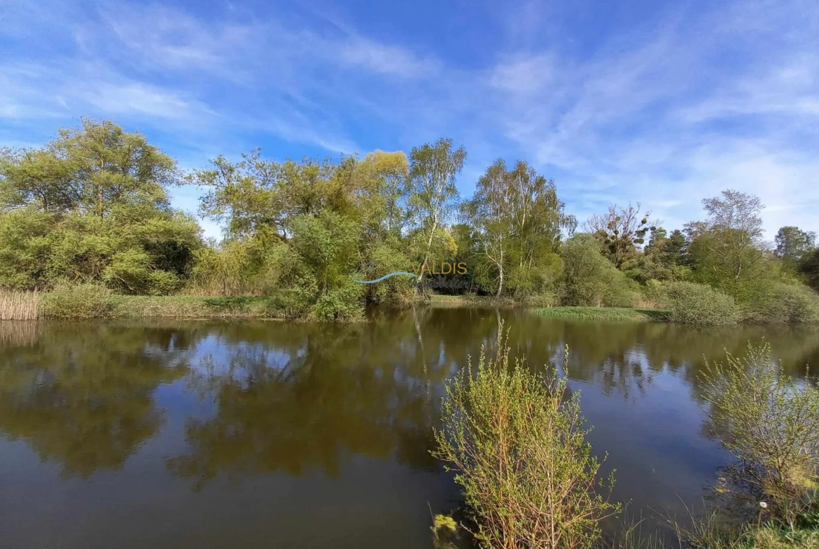 Terrain de 1,38 hectare avec deux étangs en Sissonne (02) 