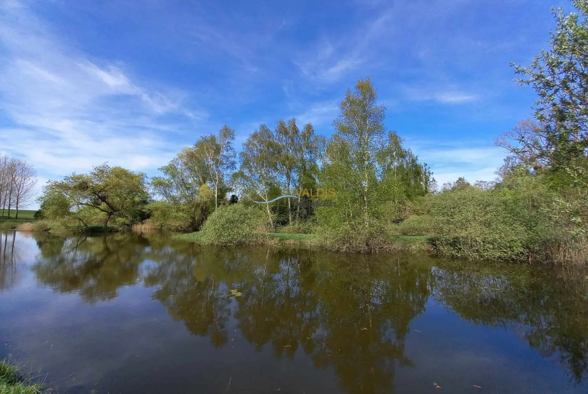 Terrain de 1,38 hectare avec deux étangs en Sissonne (02) 