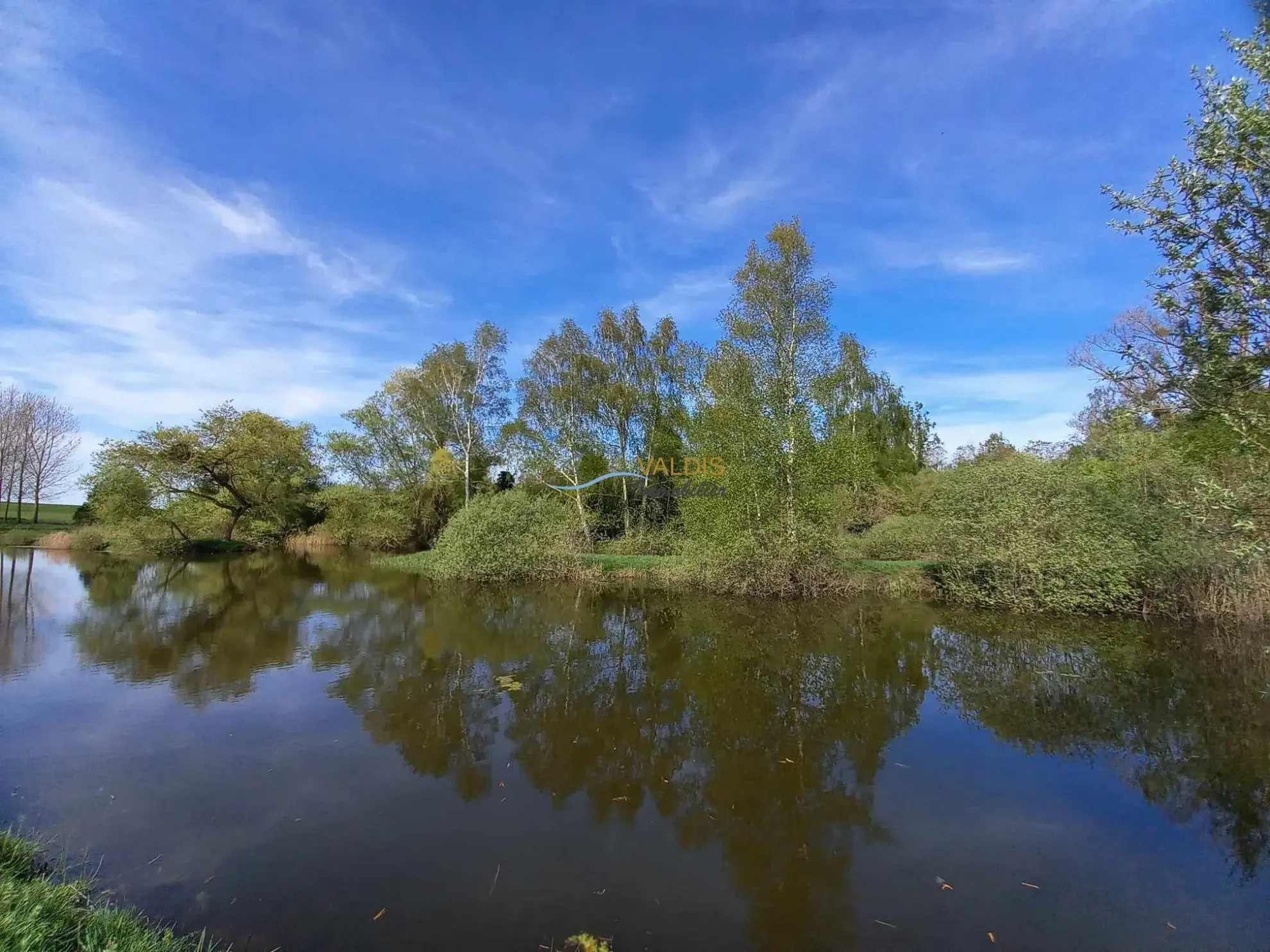 Terrain de 1,38 hectare avec deux étangs en Sissonne (02) 