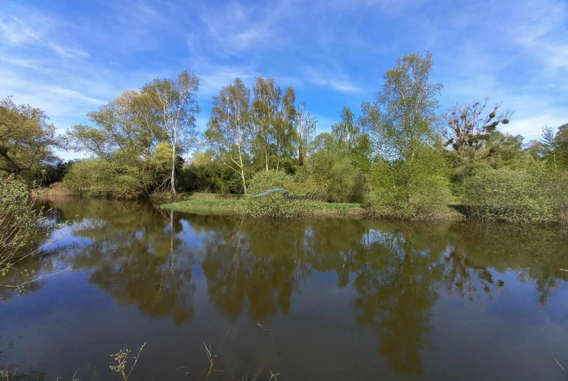 Terrain de 1,38 hectare avec deux étangs en Sissonne (02) 