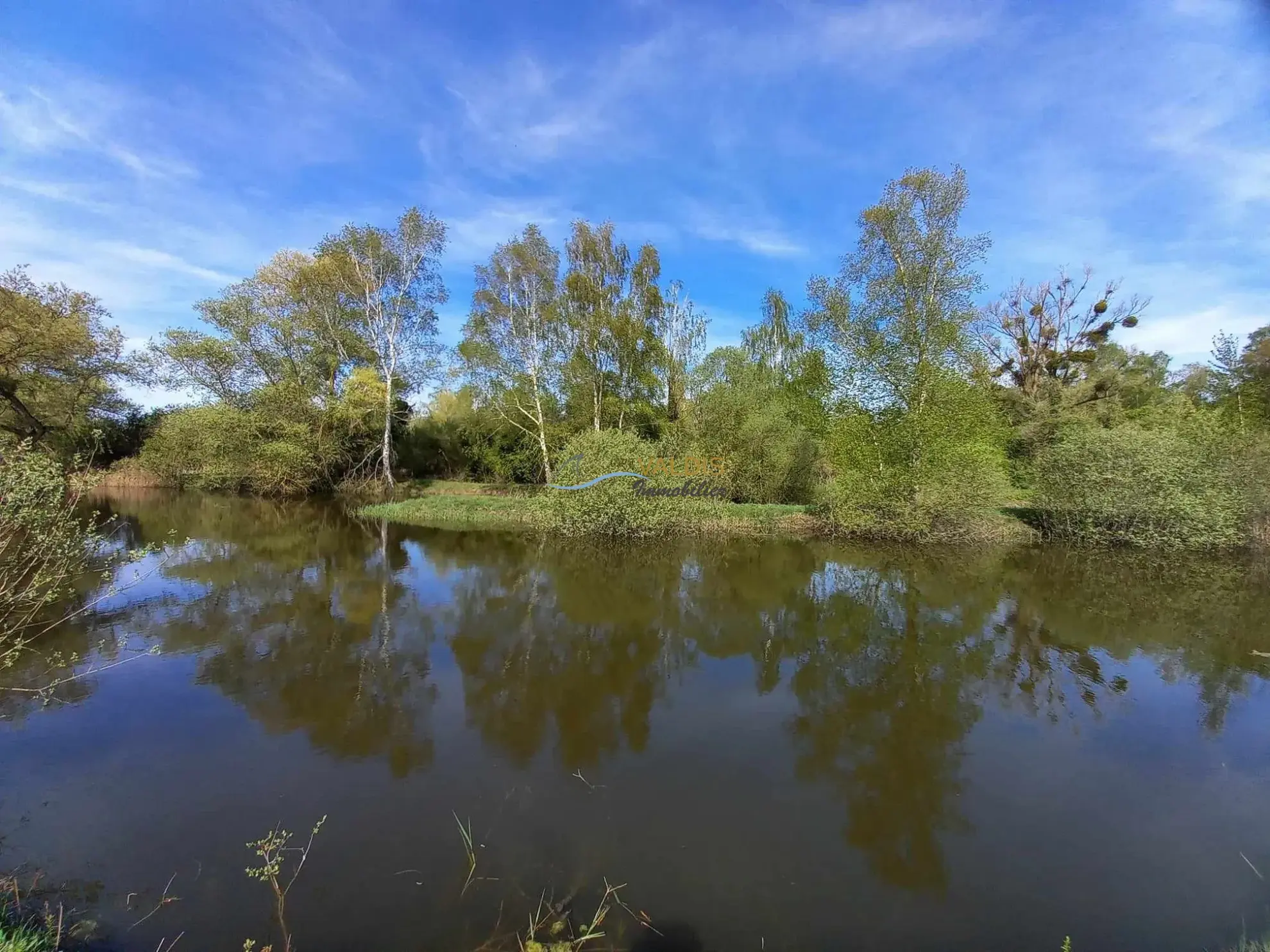 Terrain de 1,38 hectare avec deux étangs en Sissonne (02) 