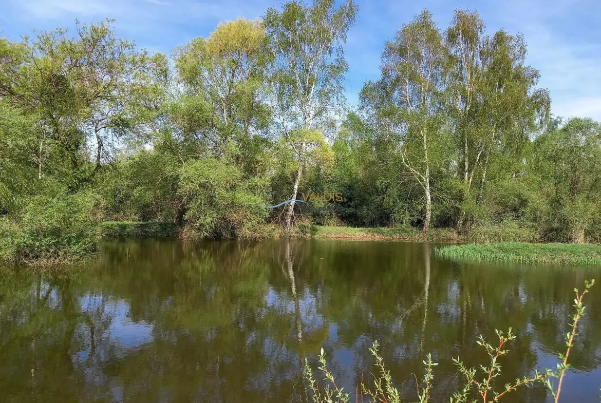 Terrain de 1,38 hectare avec deux étangs en Sissonne (02) 