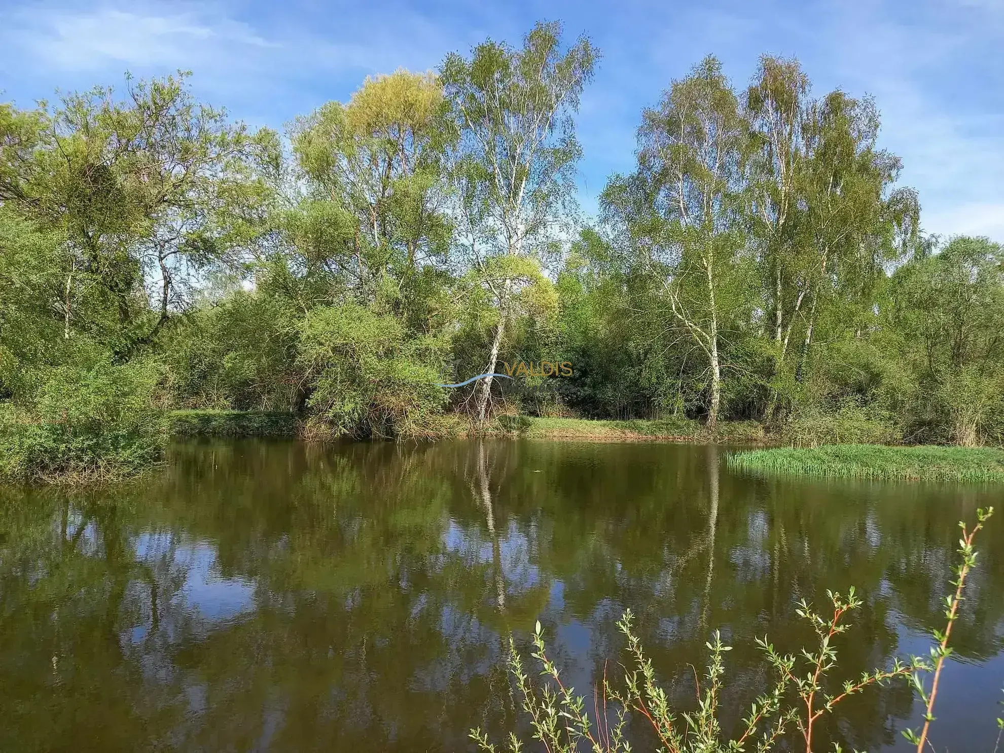 Terrain de 1,38 hectare avec deux étangs en Sissonne (02) 