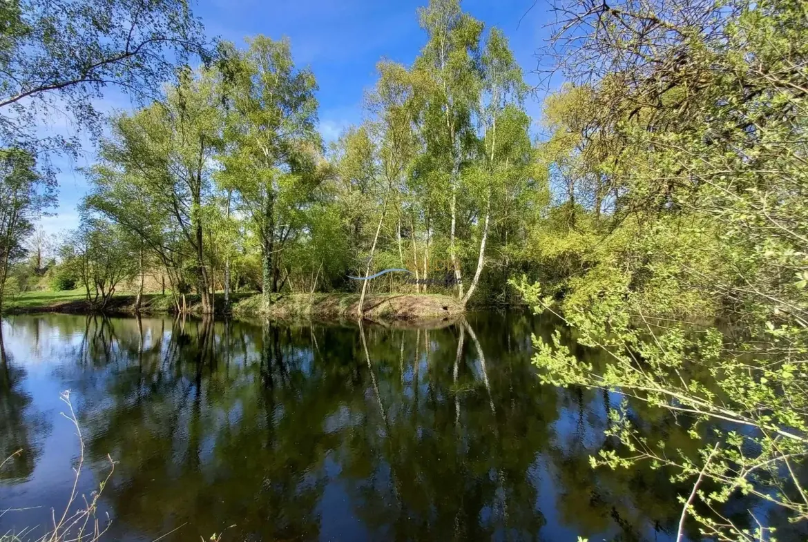 Terrain de 1,38 hectare avec deux étangs en Sissonne (02) 