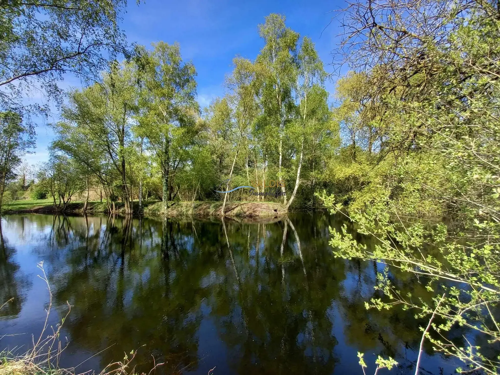 Terrain de 1,38 hectare avec deux étangs en Sissonne (02) 