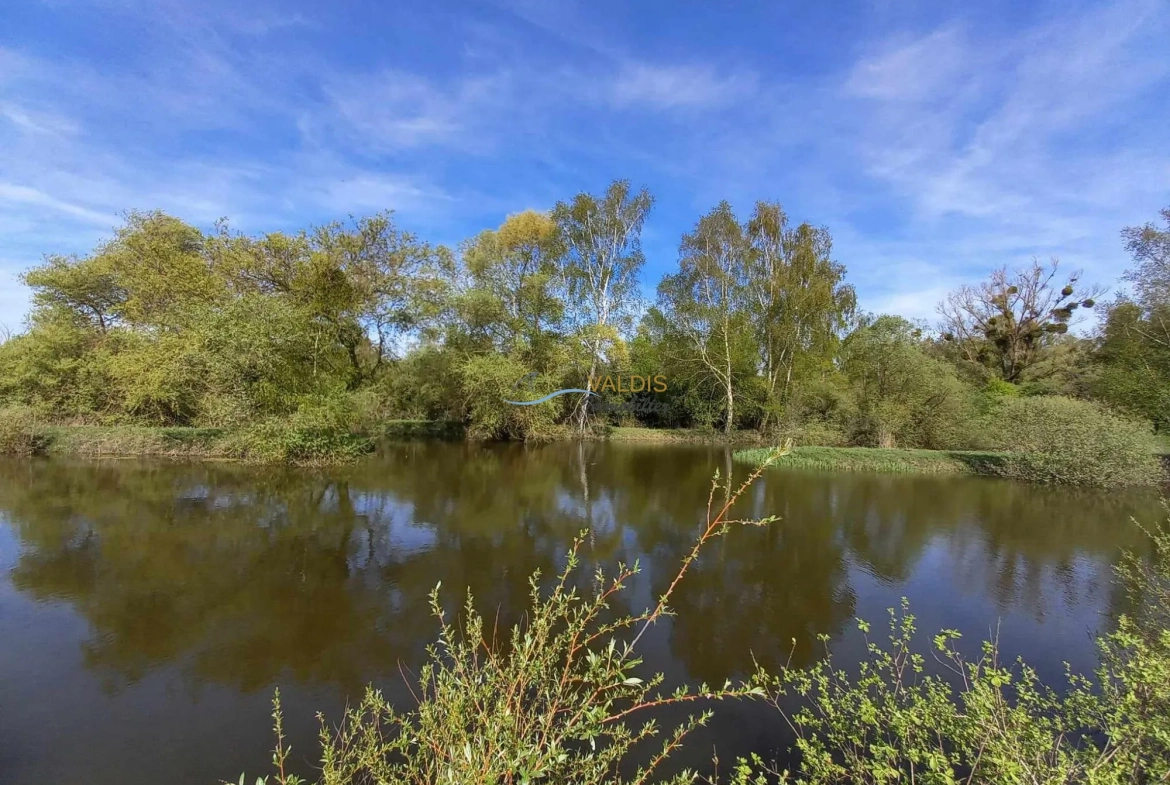 Terrain de 1,38 hectare avec deux étangs en Sissonne (02) 