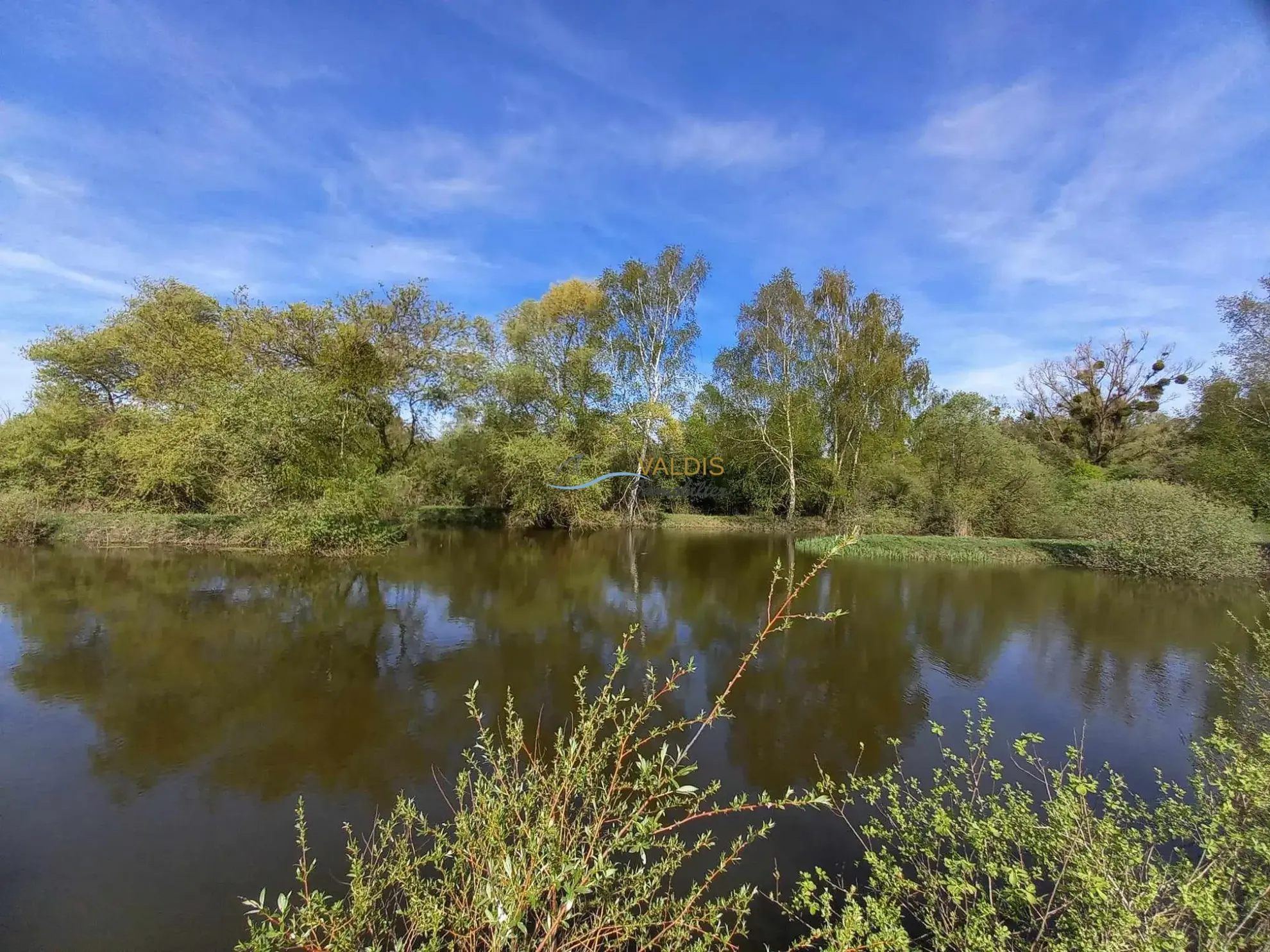 Terrain de 1,38 hectare avec deux étangs en Sissonne (02) 