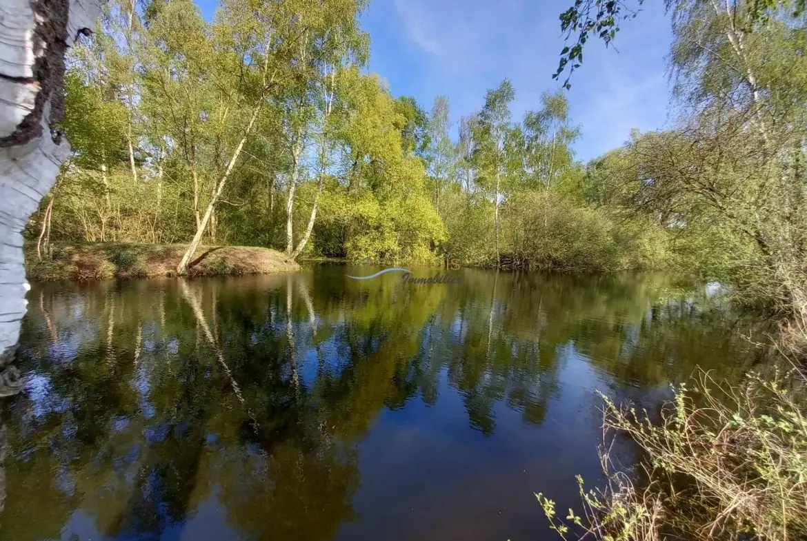 Terrain de 1,38 hectare avec deux étangs en Sissonne (02) 