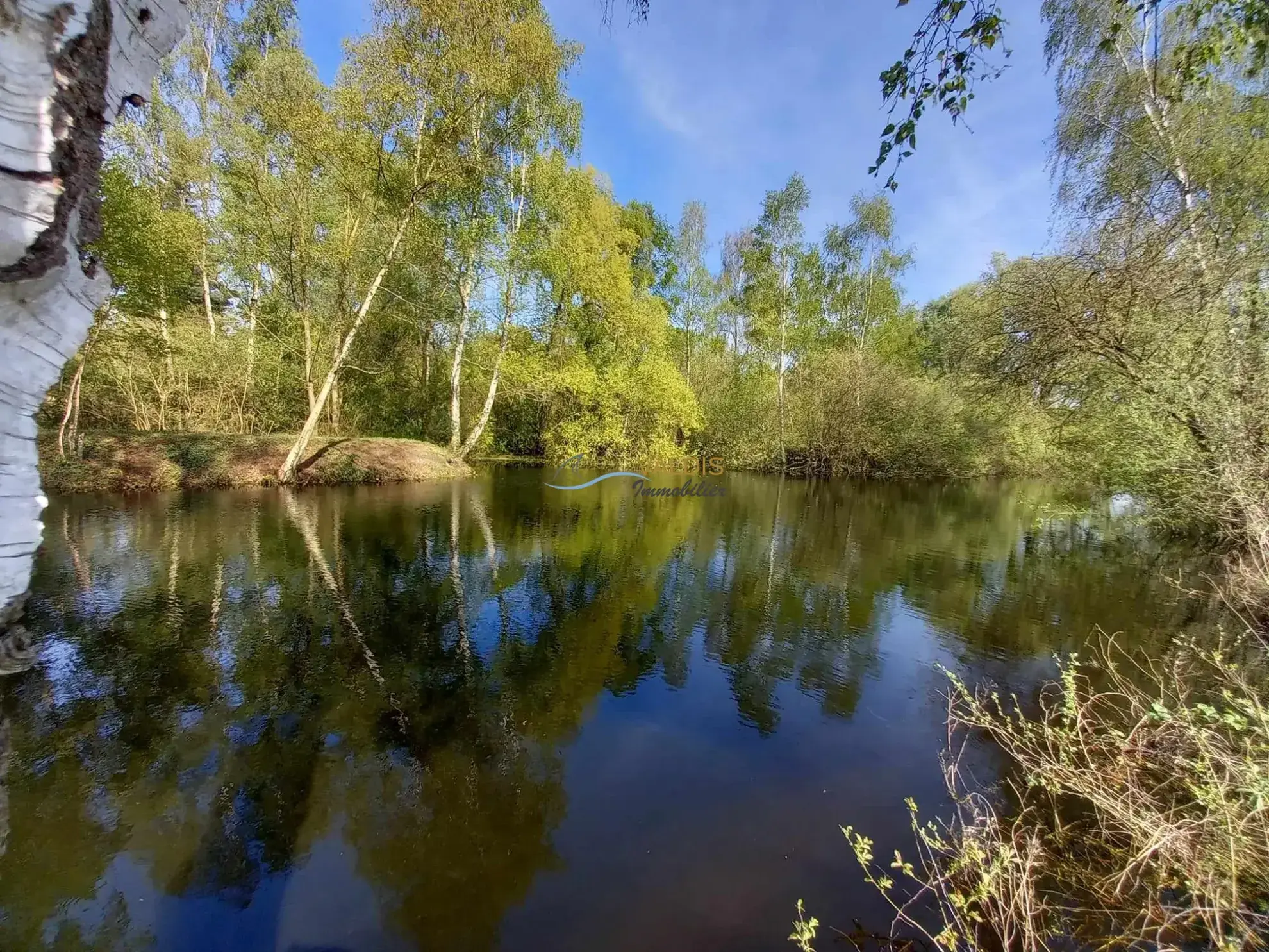 Terrain de 1,38 hectare avec deux étangs en Sissonne (02) 