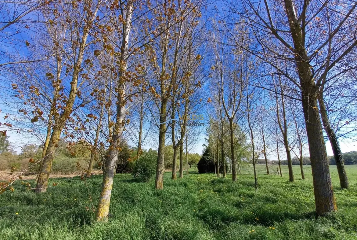 Terrain de 1,38 hectare avec deux étangs en Sissonne (02) 