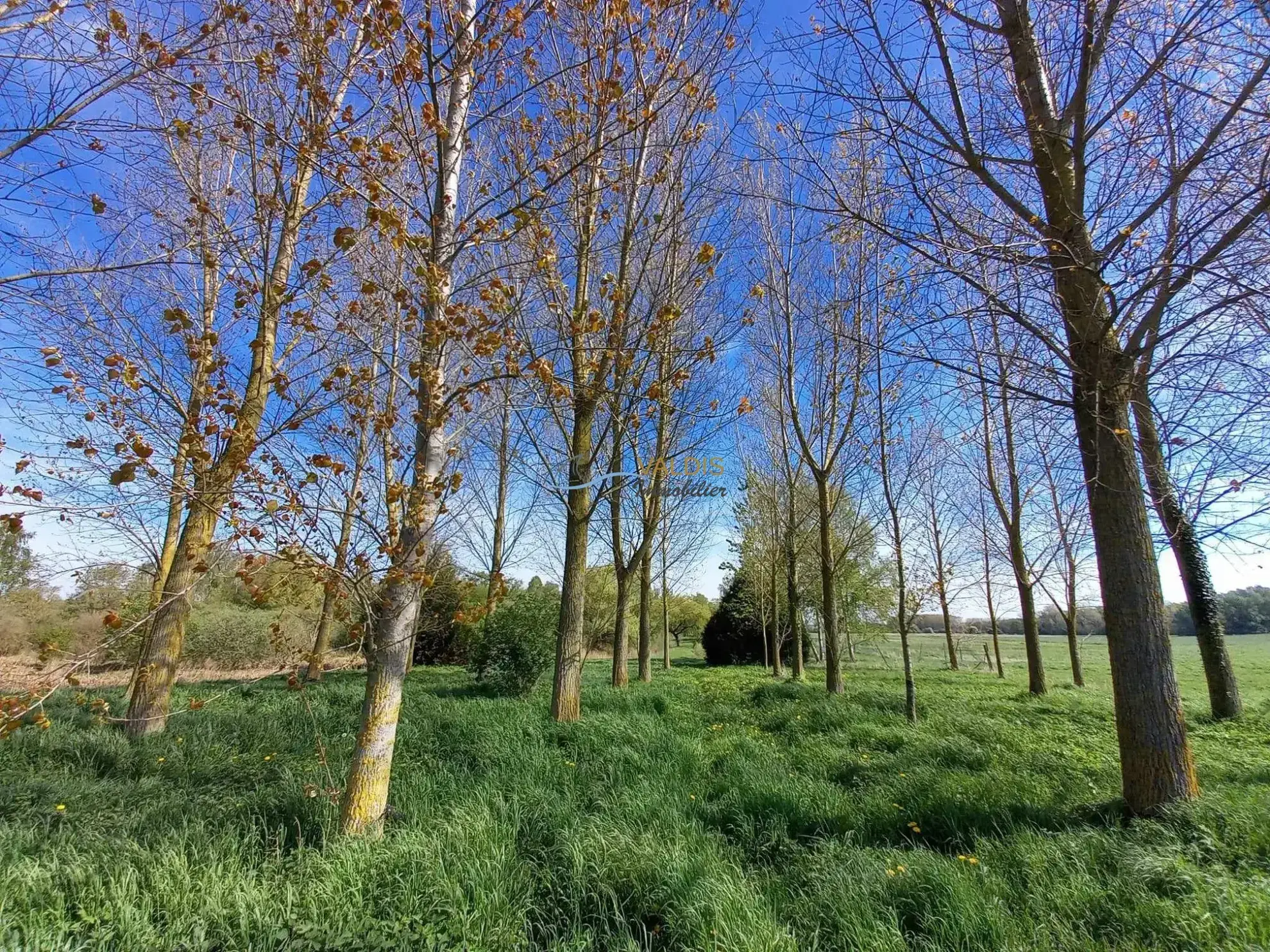 Terrain de 1,38 hectare avec deux étangs en Sissonne (02) 