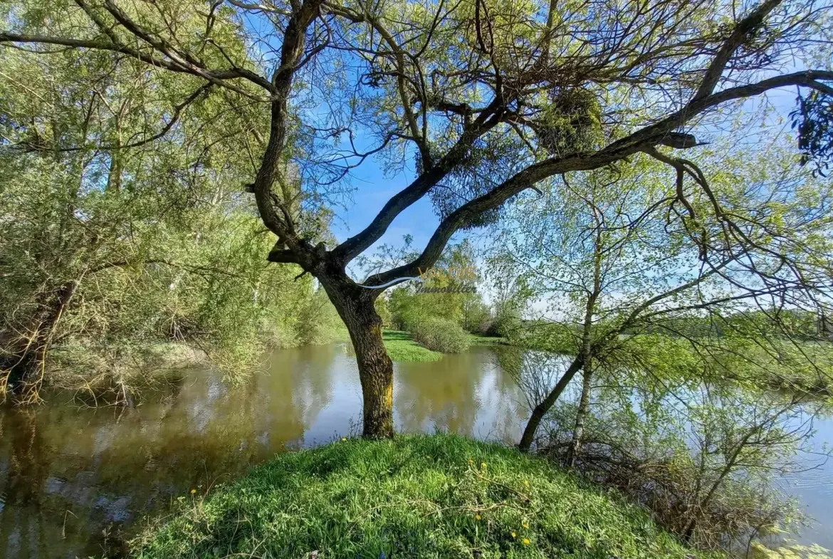 Terrain de 1,38 hectare avec deux étangs en Sissonne (02) 