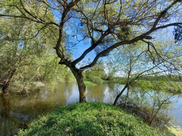 Terrain de 1,38 hectare avec deux étangs en Sissonne (02)