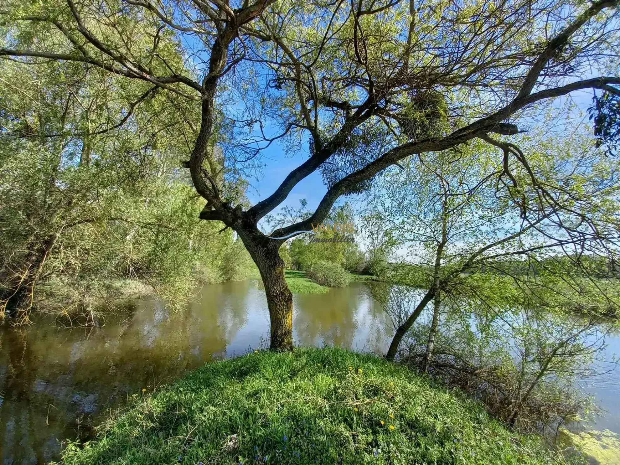 Terrain de 1,38 hectare avec deux étangs en Sissonne (02) 