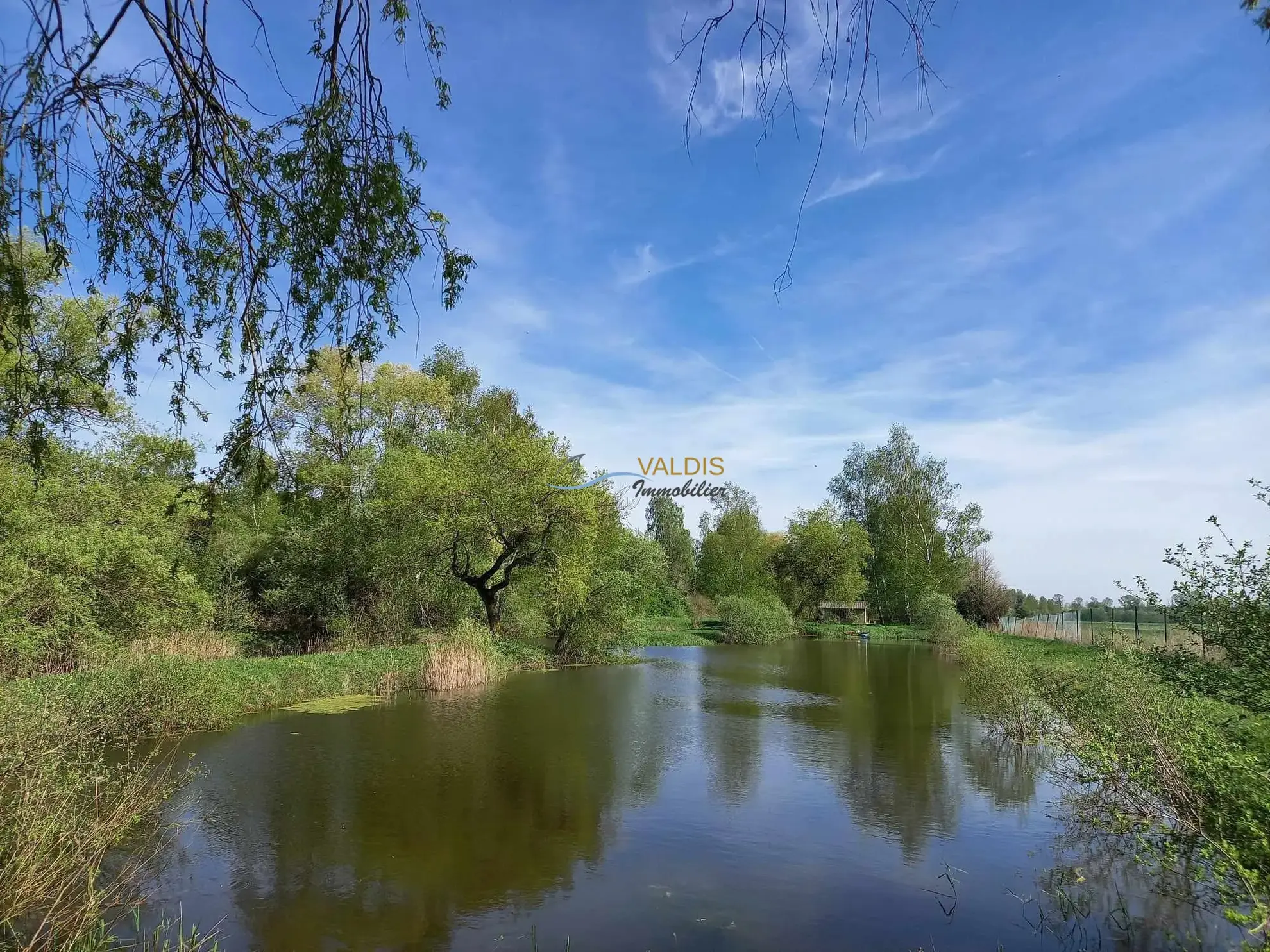 Terrain de 1,38 hectare avec deux étangs en Sissonne (02) 