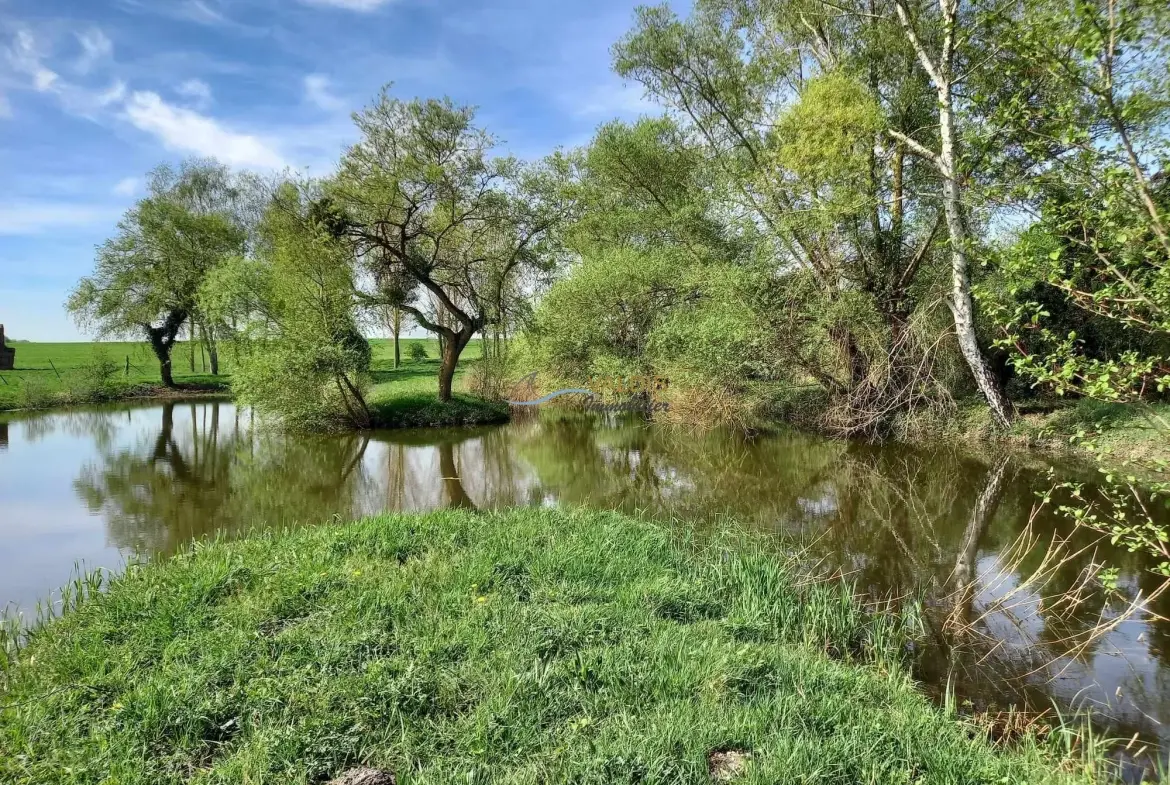 Terrain de 1,38 hectare avec deux étangs en Sissonne (02) 