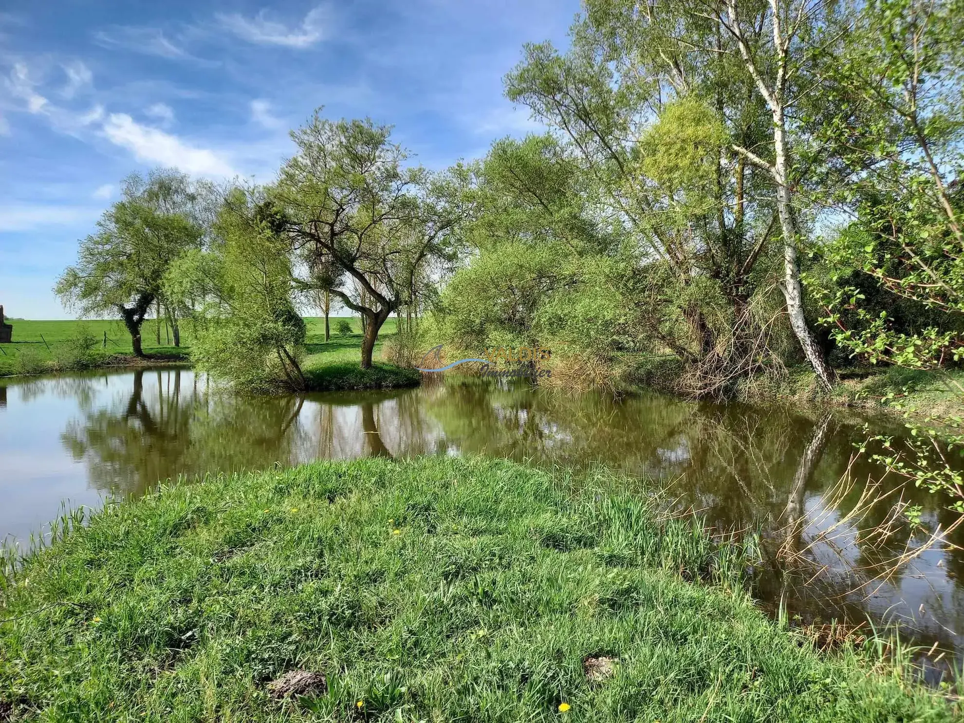 Terrain de 1,38 hectare avec deux étangs en Sissonne (02) 