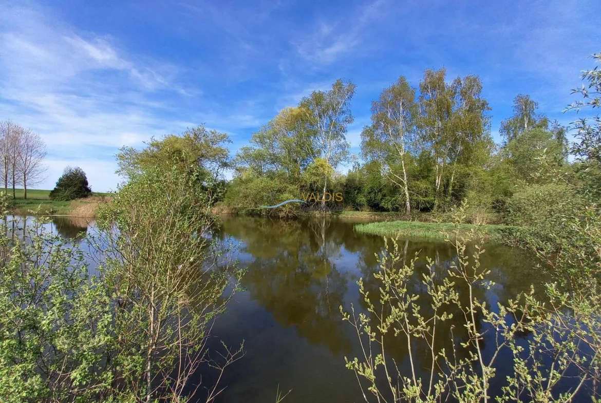 Terrain de 1,38 hectare avec deux étangs en Sissonne (02) 
