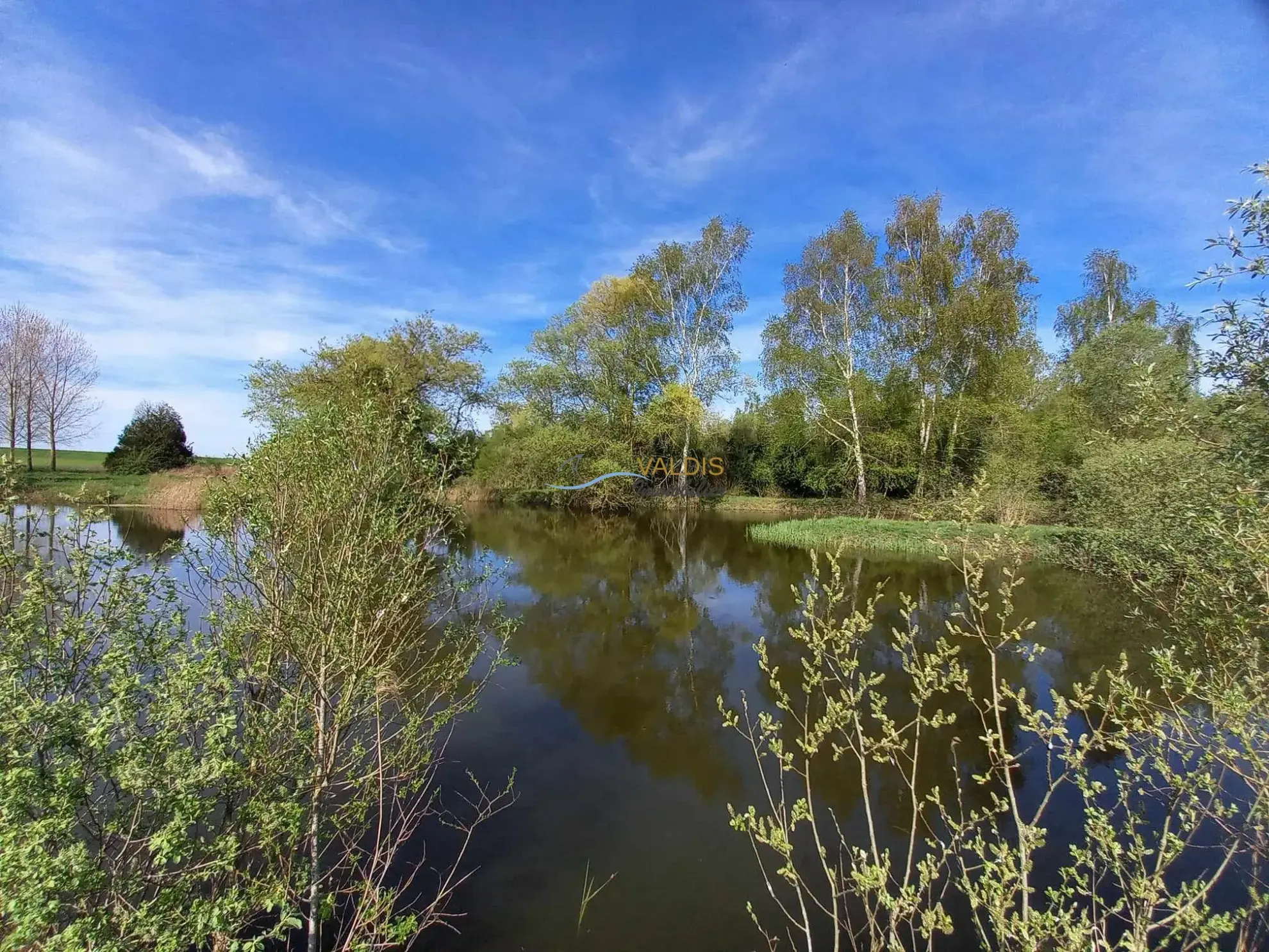 Terrain de 1,38 hectare avec deux étangs en Sissonne (02) 