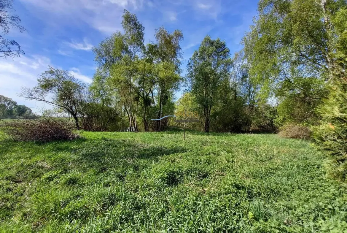 Terrain de 1,38 hectare avec deux étangs en Sissonne (02) 