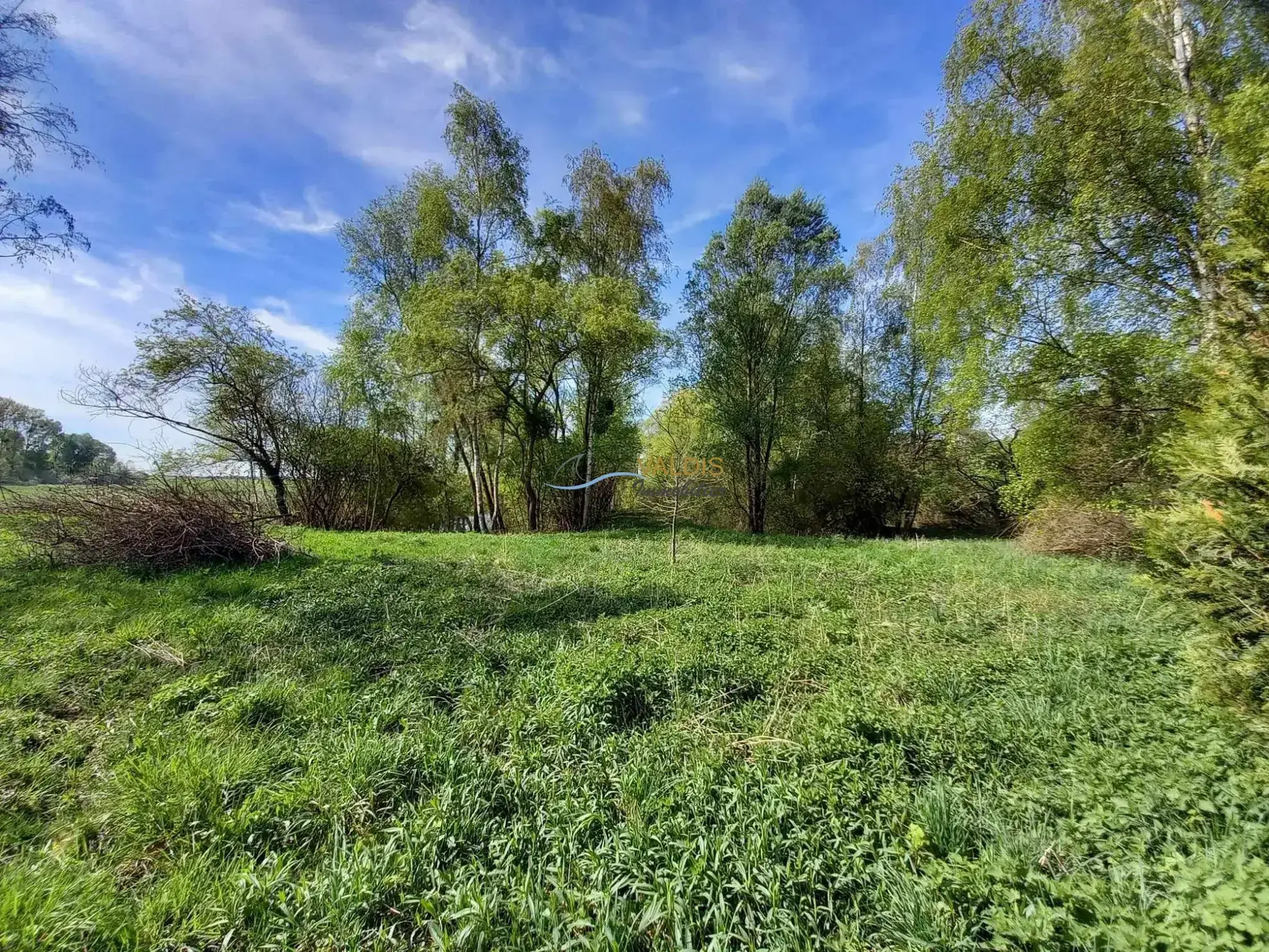 Terrain de 1,38 hectare avec deux étangs en Sissonne (02) 