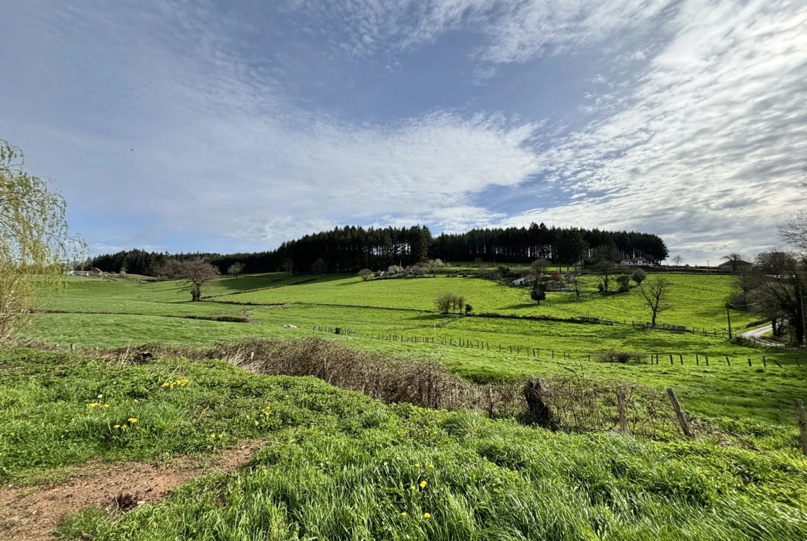 Maison rénovée de 160 m² à Aigueperse, calme et vue dégagée 
