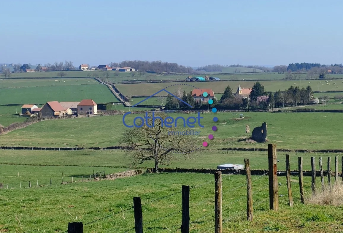 Charmante fermette en pierres à Oyé au cœur du Brionnais avec dépendance et terrain clos 