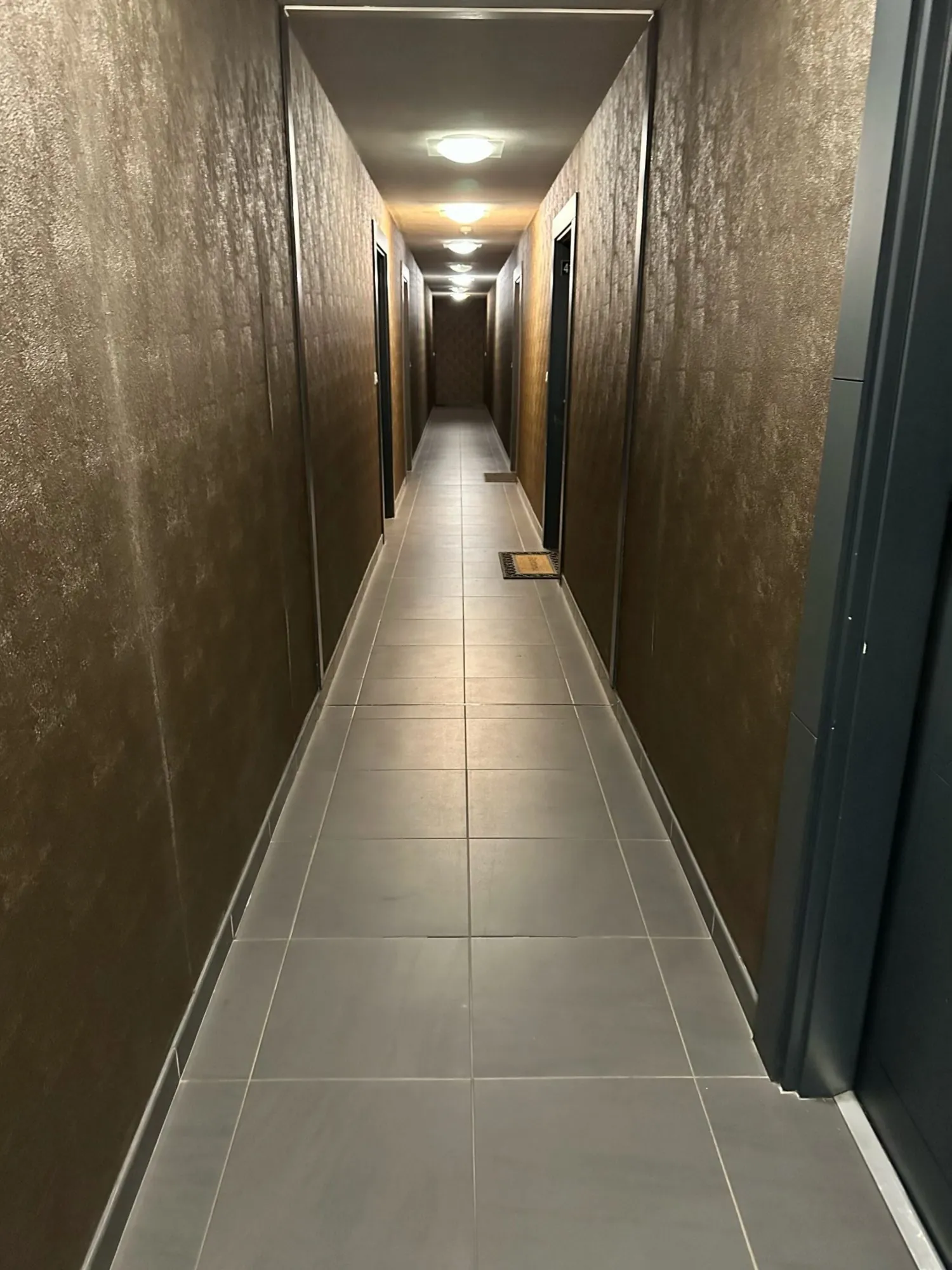 pallier accès au logements Appartement T2 avec balcon à Douai - Neuf et bien situé 