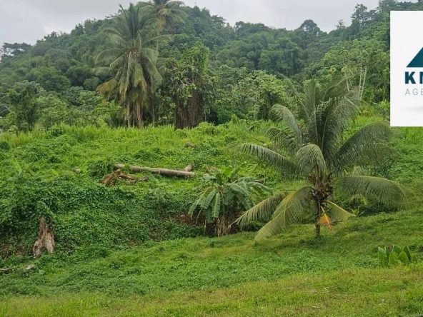 Terrain constructible de 2 300 m² au Lamentin à Roche Carré